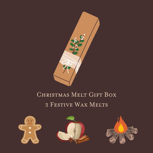 Christmas Wax Melt Gift Box